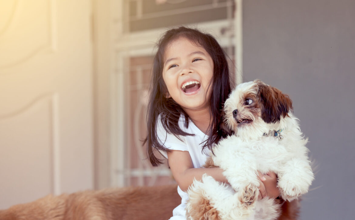 Child Protection Training for the AKC