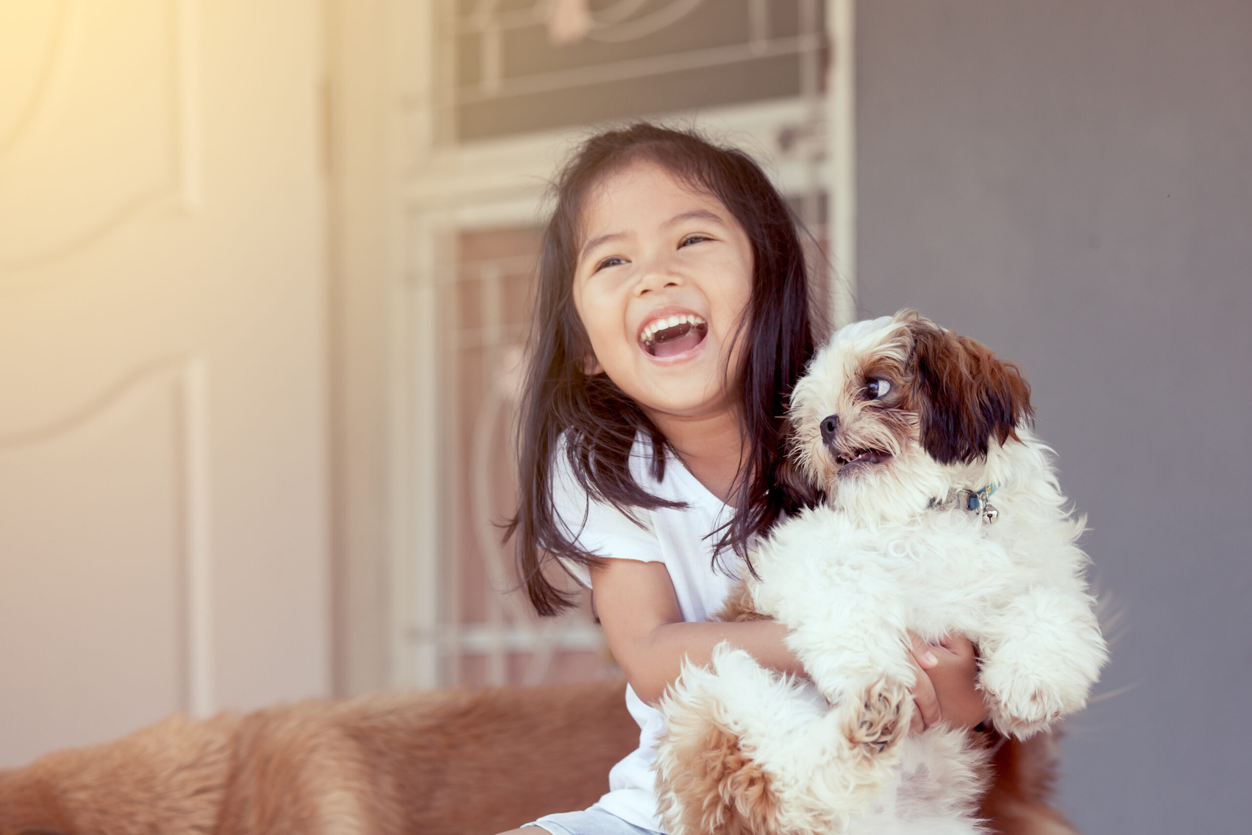 Child Protection Training for the AKC
