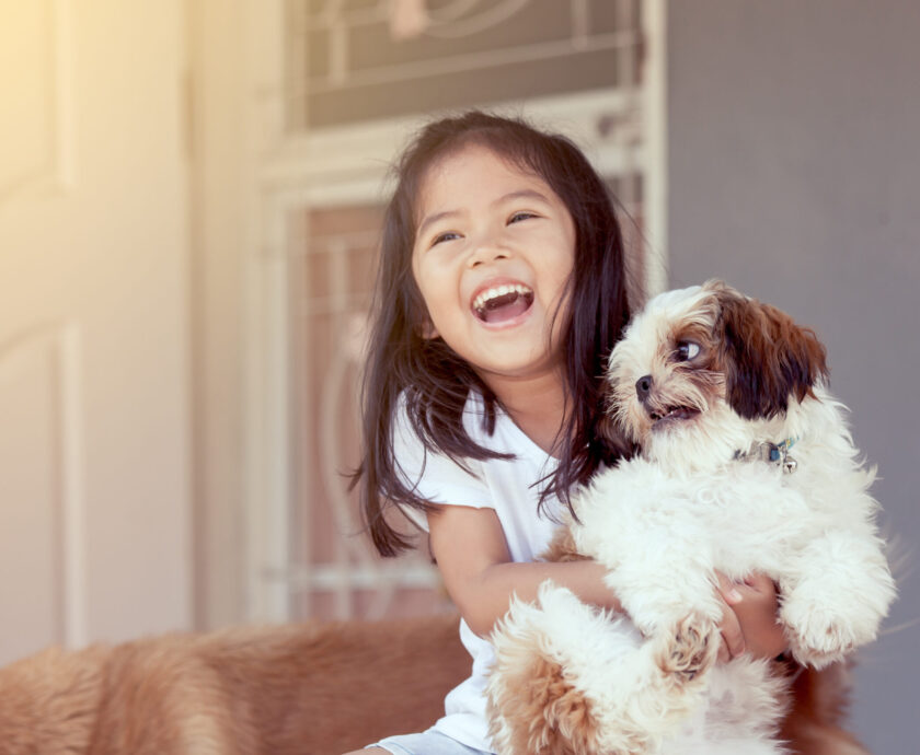 Child Protection Training for the AKC