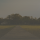 A Public Statement on Prevention and Healing