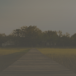 A Public Statement on Prevention and Healing