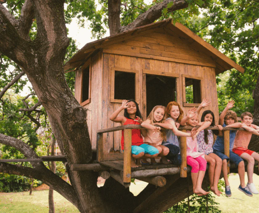 DICF Grant Announcement_Featured Image